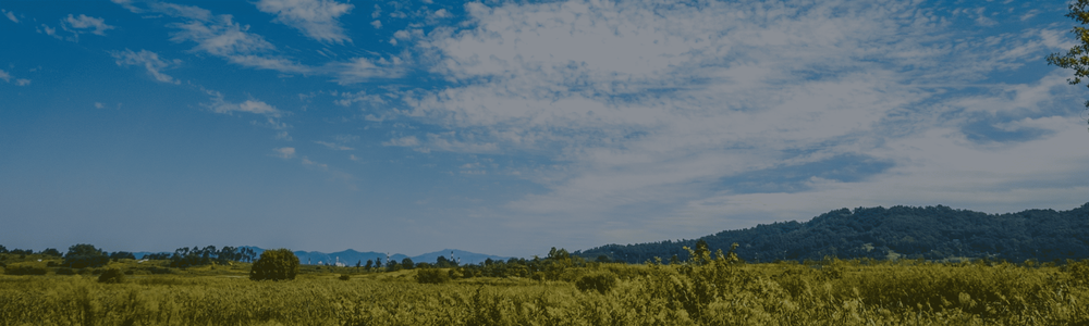 Carousel Second Image